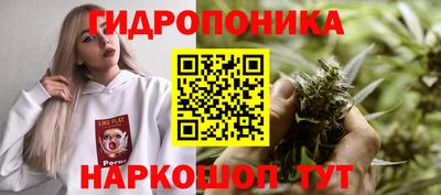 амфетамин Кингисепп